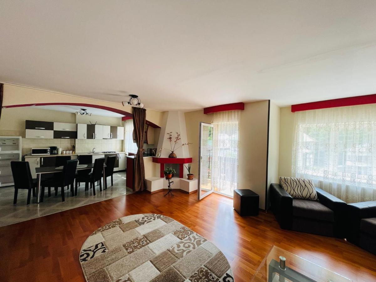 Apartament Extralarge Buşteni Exteriér fotografie