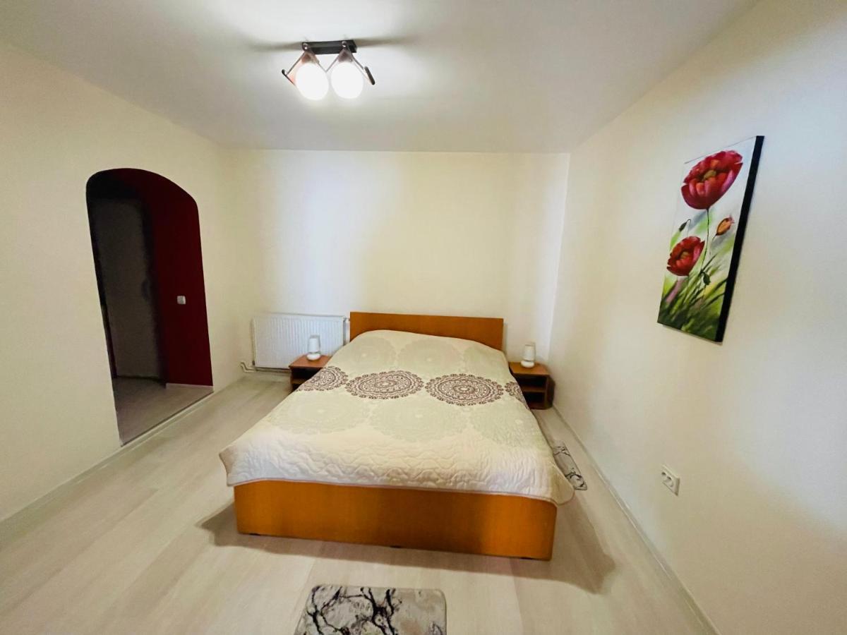Apartament Extralarge Buşteni Exteriér fotografie